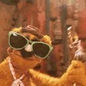 Meet your Posher, Paige